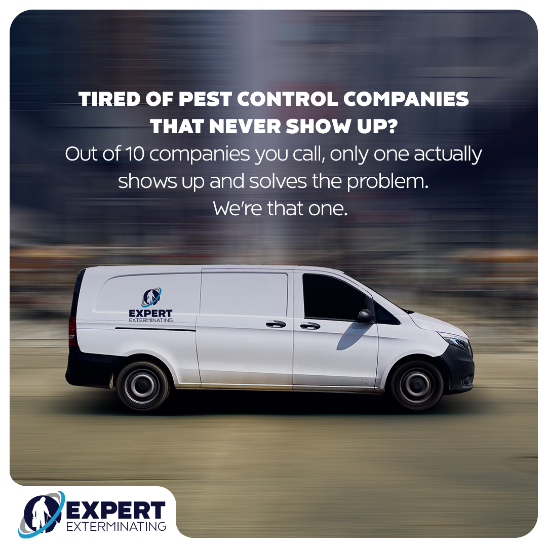 Eco-Friendly Solutions