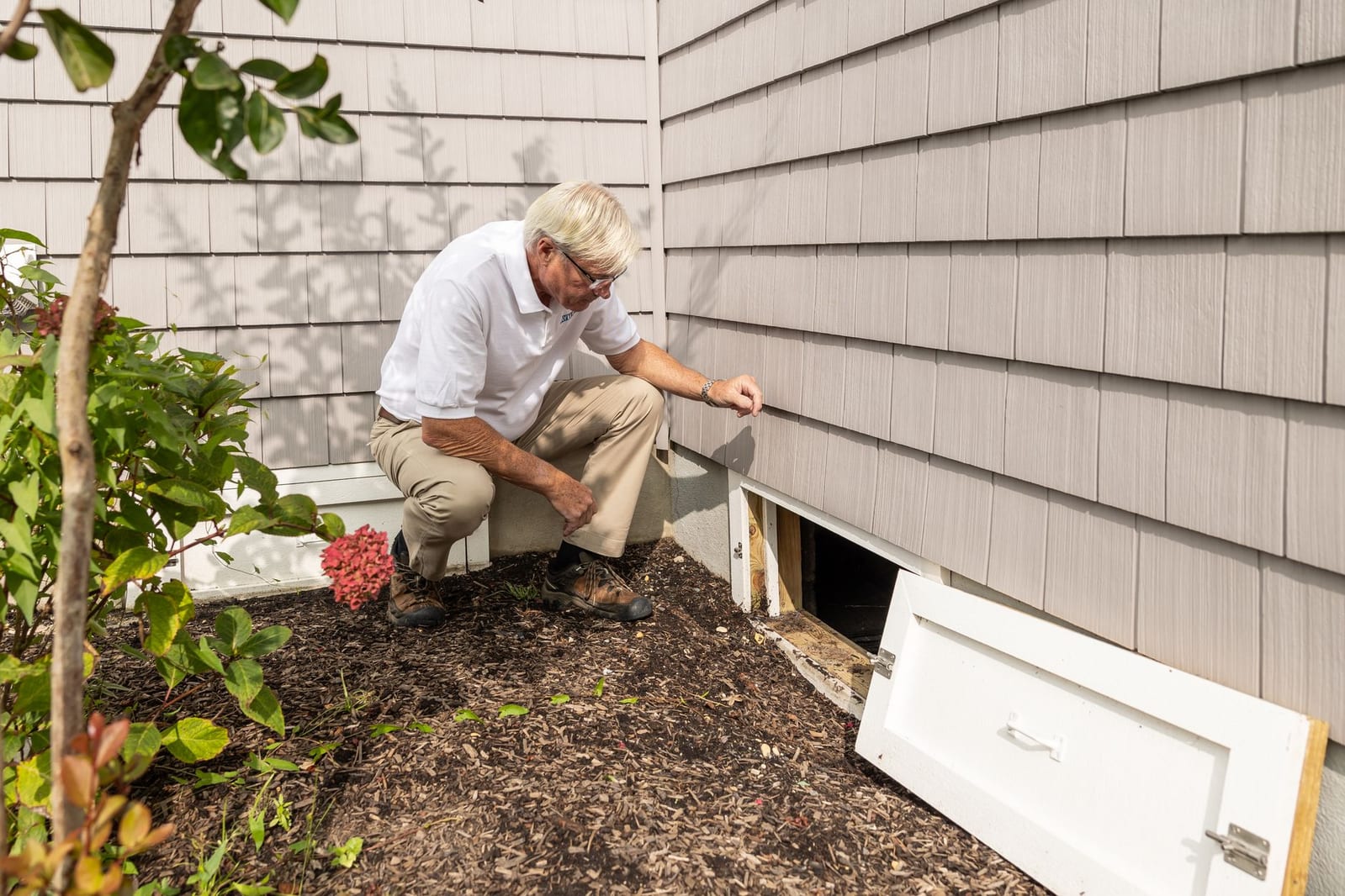 Silverfish Control
